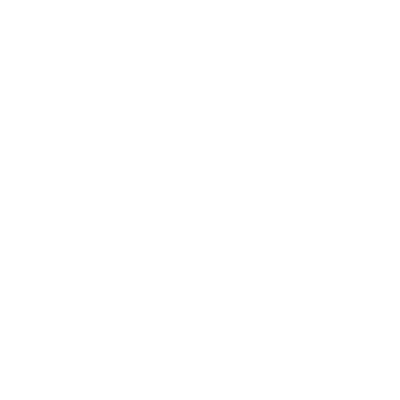 Auto Accident Litigation